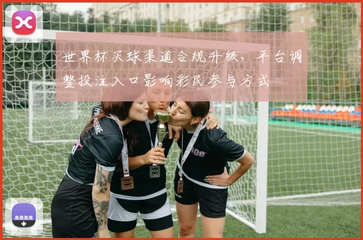 世界杯买球渠道合规升级，平台调整投注入口影响彩民参与方式