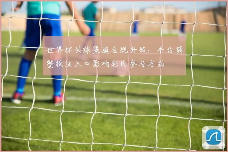 世界杯买球渠道合规升级，平台调整投注入口影响彩民参与方式
