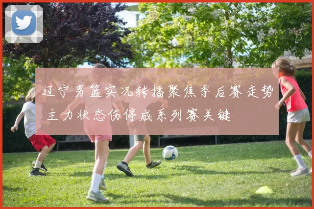辽宁男篮实况转播聚焦季后赛走势 主力状态伤停成系列赛关键